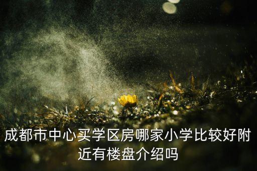 成都市中心买学区房哪家小学比较好附近有楼盘介绍吗