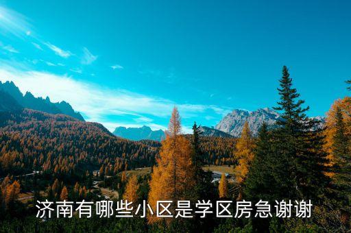 济南有哪些小区是学区房急谢谢