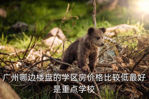学区房房价哪个划算，高安路一小或汇师小学福山正达外国语学校选哪个学区房更合适