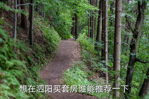 想在泗阳买套房谁能推荐一下