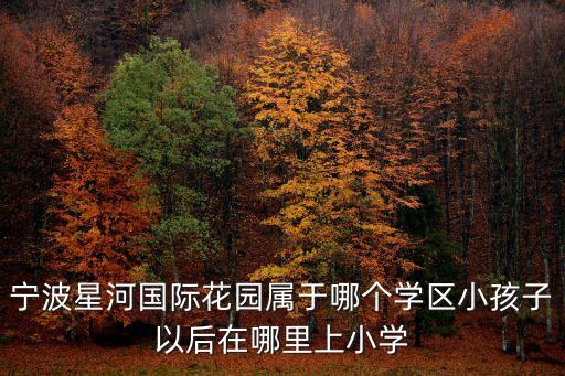 宁波星河国际花园属于哪个学区小孩子以后在哪里上小学