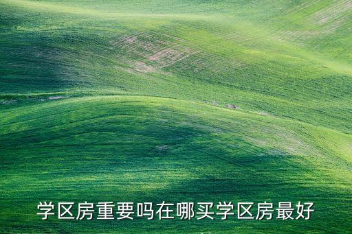 学区房重要吗在哪买学区房最好