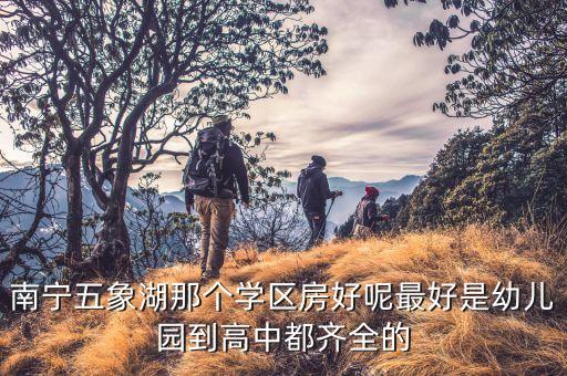 南宁哪个学区房好，想在南宁买套学区房有什么好的推荐吗