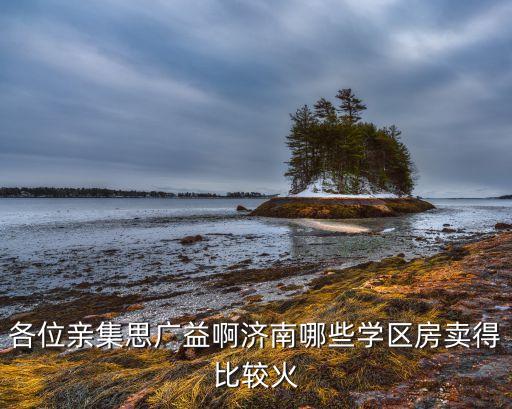 各位亲集思广益啊济南哪些学区房卖得比较火