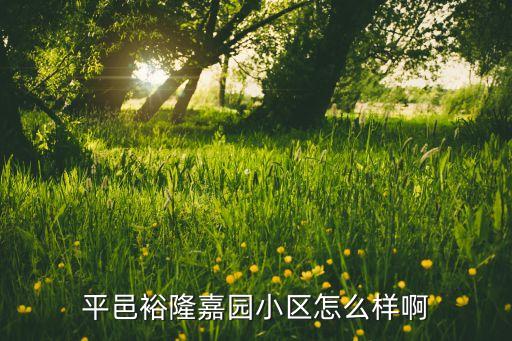 平邑哪个学区房好住点最多，山东平邑的房子大概多少一平方什么位置比较好