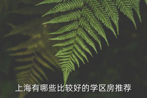 上海有哪些比较好的学区房推荐