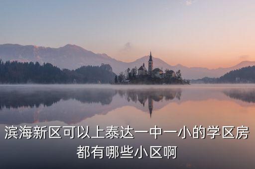 滨海新区可以上泰达一中一小的学区房都有哪些小区啊