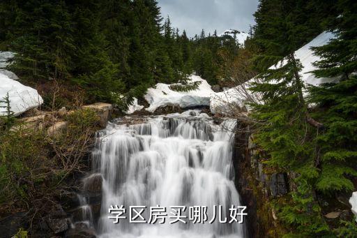 学区房买哪儿好