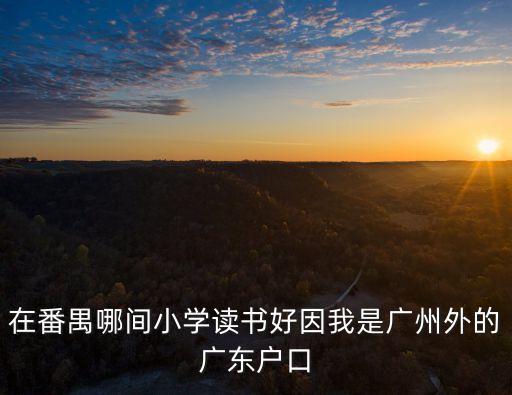 在番禺哪间小学读书好因我是广州外的广东户口