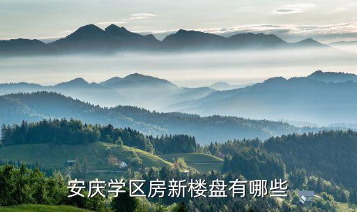 安庆学区房新楼盘有哪些