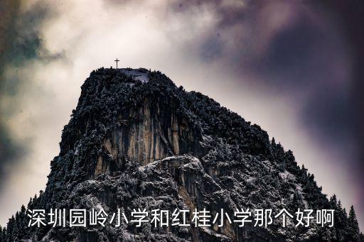 深圳园岭小学和红桂小学那个好啊