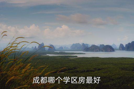 成都哪个学区房最好