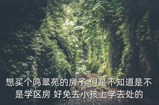 想买个鸣翠苑的房子 但是不知道是不是学区房 好免去小孩上学去处的