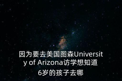 因为要去美国图森University of Arizona访学想知道6岁的孩子去哪