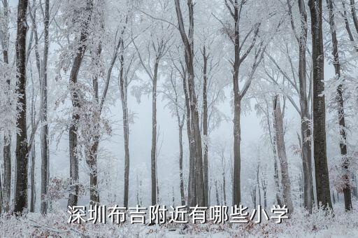 深圳布吉附近有哪些小学