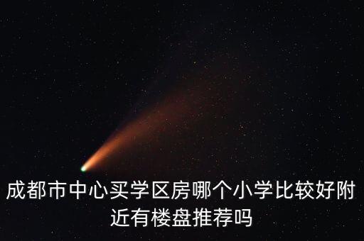 成都市中心买学区房哪个小学比较好附近有楼盘推荐吗