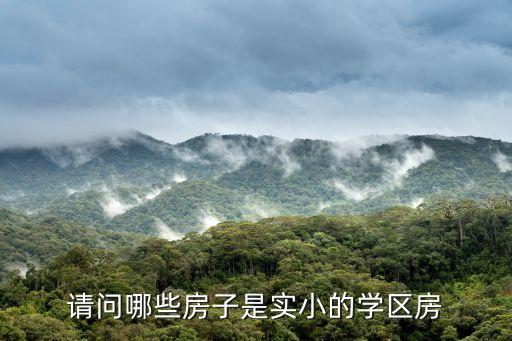 请问哪些房子是实小的学区房