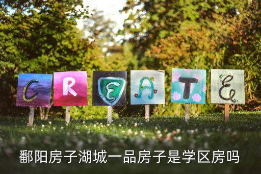 鄱阳房子湖城一品房子是学区房吗