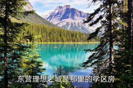 东营理想之城是那里的学区房