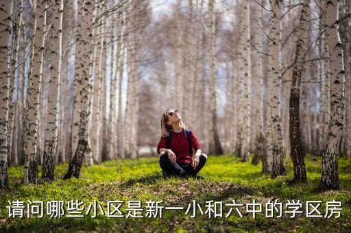 请问哪些小区是新一小和六中的学区房