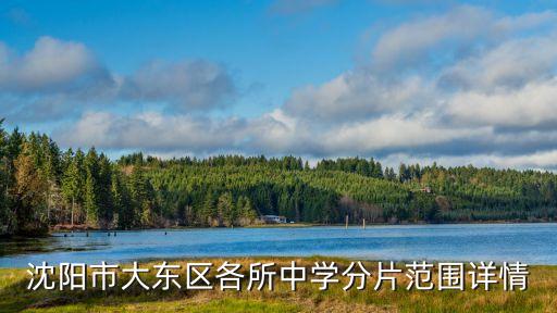 沈阳市大东区各所中学分片范围详情