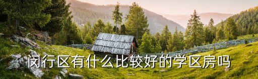闵行区有什么比较好的学区房吗