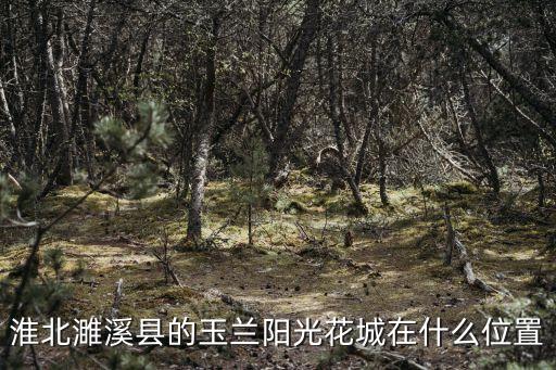 濉溪玉兰花城是哪个学区房，淮北濉溪县的玉兰阳光花城在什么位置