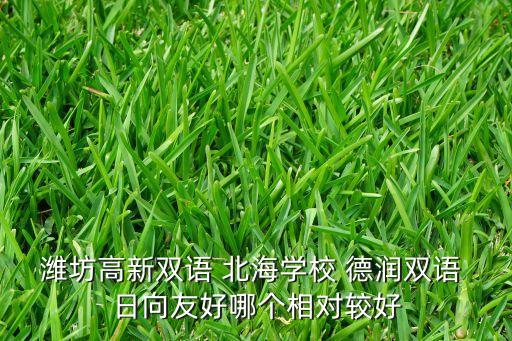潍坊高新双语 北海学校 德润双语 日向友好哪个相对较好