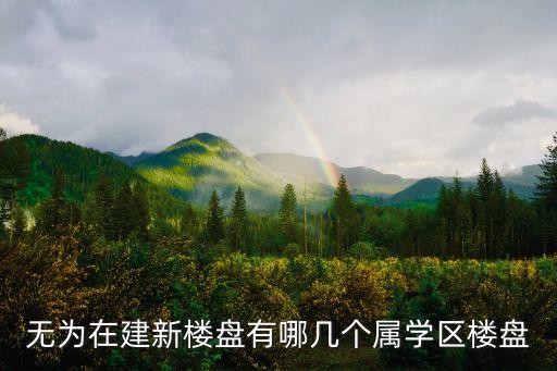 无为在建新楼盘有哪几个属学区楼盘