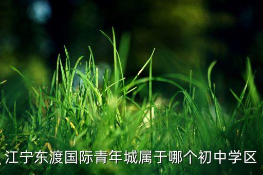 江宁东渡国际青年城属于哪个初中学区