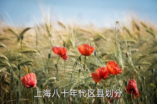 上海八十年代区县划分