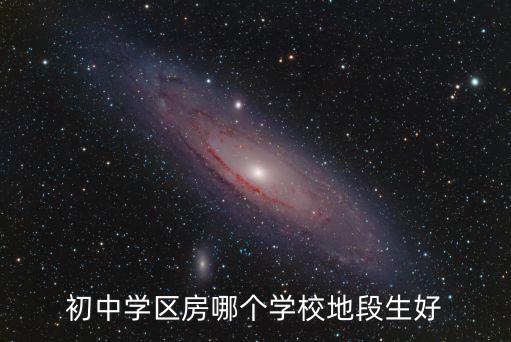 初中学区房哪个学校地段生好