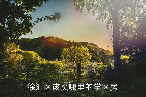 徐汇区该买哪里的学区房