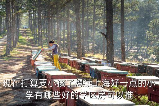 现在打算要小孩了想读上海好一点的小学有哪些好的学区房可以推