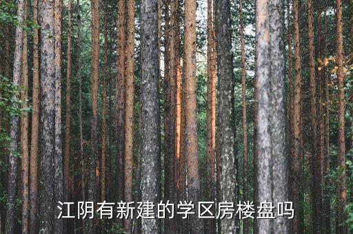 江阴有新建的学区房楼盘吗