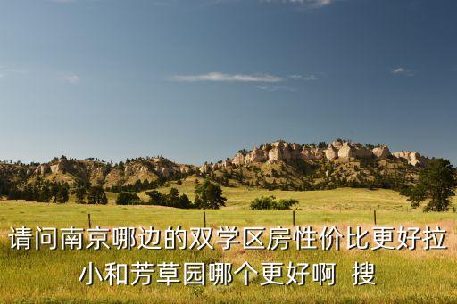 金陵区哪个学区房好租点，请问南京哪边的双学区房性价比更好拉小和芳草园哪个更好啊  搜