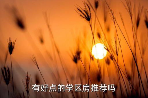 有好点的学区房推荐吗