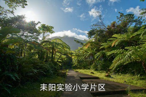 耒阳实验小学片区