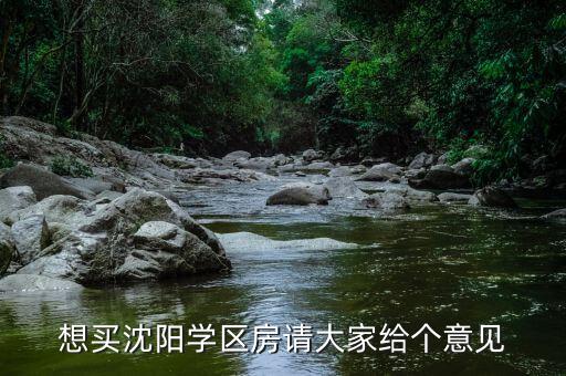 想买沈阳学区房请大家给个意见