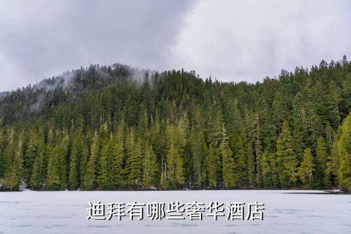 迪拜最顶级学区房推荐哪个，迪拜有哪些奢华酒店