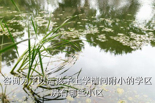 咨询为了以后孩子上学请问附小的学区房有哪些小区