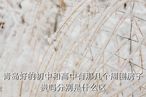 青岛哪个学区房好，青岛市的超银中学市北区和四方区哪个更好