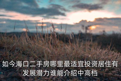 如今海口二手房哪里最适宜投资居住有发展潜力谁能介绍中高档