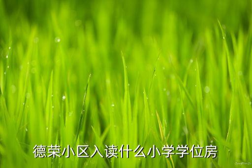德荣小区入读什么小学学位房