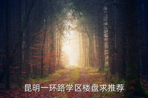 昆明一环路学区楼盘求推荐