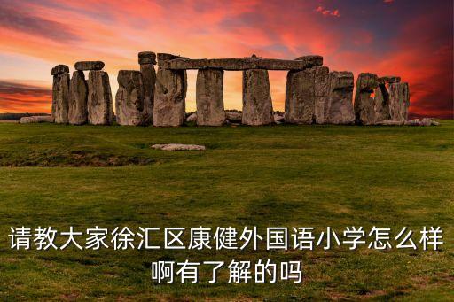 请教大家徐汇区康健外国语小学怎么样啊有了解的吗
