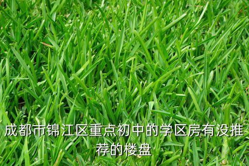 成都市锦江区重点初中的学区房有没推荐的楼盘