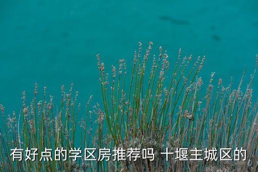 十堰哪个学区房比较好，有好点的学区房推荐吗 十堰主城区的