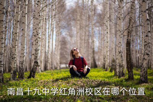 2020南昌学区房有哪些，南昌十九中学红角洲校区在哪个位置