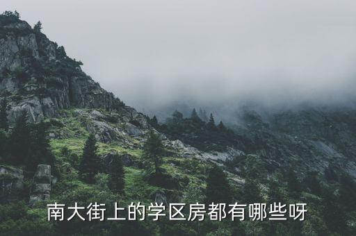 南大街上的学区房都有哪些呀
